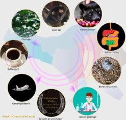 Kopi Luwak Koffie. 35 Gram Ongemalen Bonen. Direct Trade. Single Origin. The Original By Rich.Exclusive. 26 Kopi Luwak Koffie. 35 Gram Ongemalen Bonen. Direct Trade. Single Origin. The Original By Rich.Exclusive. -Koffiedrank Winkel 1200x1153 1