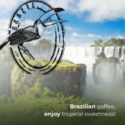 Soolong Enjoy Brazilie Nr4000 Koffiebonen Topacio Lungo - Speciality Koffie Arabica Medium Roast, Light Body Met Een Verfijnde Zacht Zoete Smaak. - Zak 250gram 17 Soolong Enjoy Brazilie Nr4000 Koffiebonen Topacio Lungo - Speciality Koffie Arabica Medium Roast, Light Body Met Een Verfijnde Zacht Zoete Smaak. - Zak 250gram -Koffiedrank Winkel 1200x1200 192