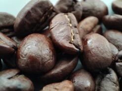 Voordeelpakket: Den Leeuw Lungo (80 Koffiecups) - Roast Koffiecups - Echte Hollandsche Koffie Van Den Leeuw In Nespresso Cups - Nespresso Compatibele Koffie Cups 12 Voordeelpakket: Den Leeuw Lungo (80 Koffiecups) - Roast Koffiecups - Echte Hollandsche Koffie Van Den Leeuw In Nespresso Cups - Nespresso Compatibele Koffie Cups -Koffiedrank Winkel 1200x900